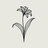 A black and white drawing of a flower vector