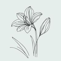 A drawing of a lily on a green background vector
