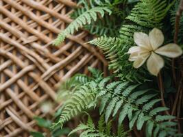 Woven rattan texture background with lush green foliage creating a natural and organic ambiance for design projects photo