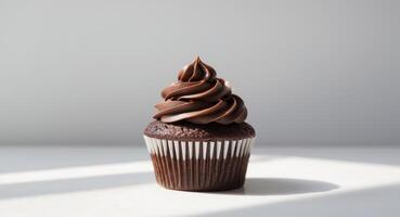A chocolate cupcake with a frosting on top photo