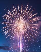 A burst of colorful fireworks lighting up the dark night sky vertical photo