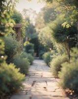 Serenity unfolds in a tranquil garden pathway framed by lush greenery and sunlight. photo