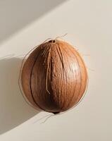 Flat Lay Top View of Bright Ripe Fragrant Brown Coconut Fruit as Background. photo