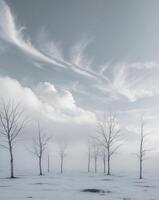 A group of bare trees in a snowy field photo