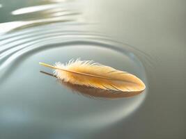 A feather floating on top of water with ripples photo