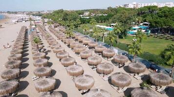 Resort Beach with Thatched Umbrellas and Palm Trees video
