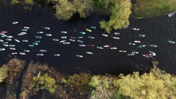 Aerial View of Paddleboarders on River Surrounded by Trees video