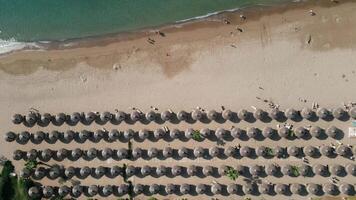 Aerial View of Beach with Straw Umbrellas and Turquoise Waves video