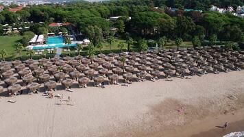Beach Resort with Straw Umbrellas and Pool Surrounded by Trees video
