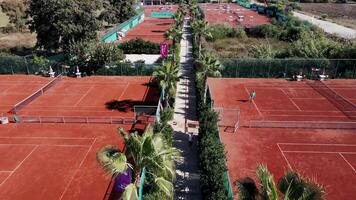 Clay Tennis Courts with Palm Trees and Recreational Setup video