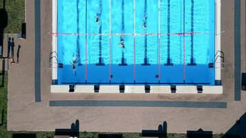 Aerial View of Rectangular Swimming Pool with Active Swimmers video