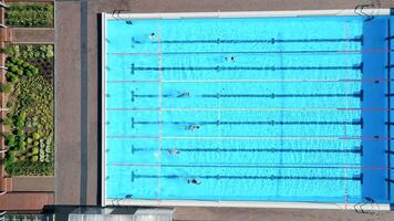 Aerial View of Swimmers in a Lane Divided Rectangular Pool video