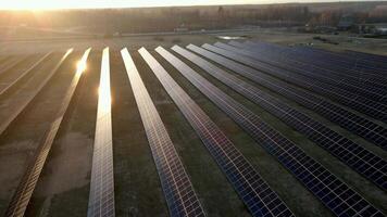 Expansive Solar Farm with Rows of Panels at Sunset video