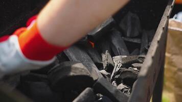 Close Up of Charcoal Pieces Igniting with Visible Flames video
