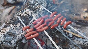 Skewers of Sausages Roasting Over Open Campfire with Embers video