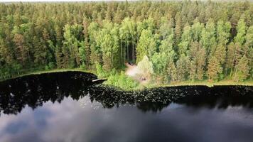 Dense Forest and Dark Lake with Dock and Gathering in Clearing video