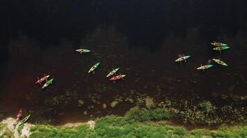 Aerial View of Colorful Kayaks on Calm Water with Vegetation video