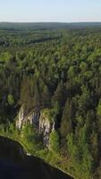 un maravilloso aéreo ver de un lozano verde bosque y sereno río en un tranquilo paisaje. valores acortar video