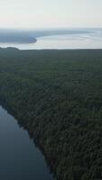 An Aerial View of a Beautifully Lush Green Forest Situated Adjacent to a Calm and Serene River. Clip video