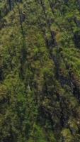 An aerial view shows a lush green cliff by a calm river, creating a peaceful scene. Clip video