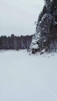 un maravilloso invierno paisaje presentando un nieve cubierto río fluido mediante un sereno bosque. acortar video