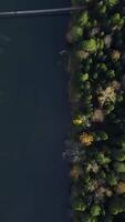 An Aerial View of a Serene Forest and River Landscape Captured from Above is Truly Beautiful. Stock Clip video