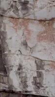 The Textured Surface of a Weathered Rock Encrusted with Colorful Lichen and Moss Growth. Clip video