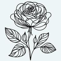 A line drawing of a rose with leaves vector