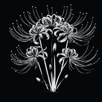A drawing of a bunch of flowers on a black background vector