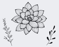A drawing of a flower with leaves vector