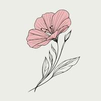 A drawing of a flower with leaves vector