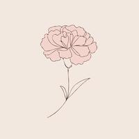 A pink carnation flower on a beige background vector