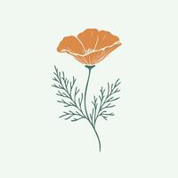 An orange poppy flower on a green background vector