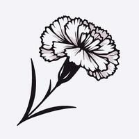 A black and white drawing of a carnation flower vector