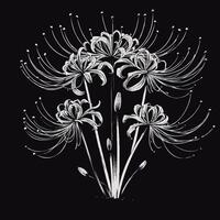 A drawing of a bunch of flowers on a black background vector