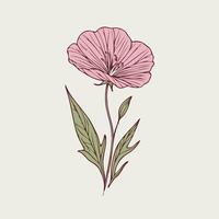 A pink flower with leaves on it vector