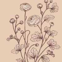A drawing of flowers on a beige background vector