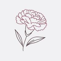 A flower is drawn in a line style vector