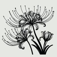 Black and white illustration of a flower vector