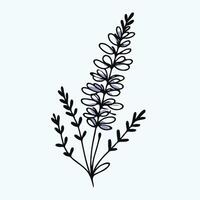 Lavender flower, hand drawn, illustration vector