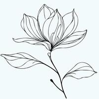 A drawing of a flower with leaves Magnolia branch vector