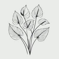 illustration of a bunch of leaves Anthurium vector