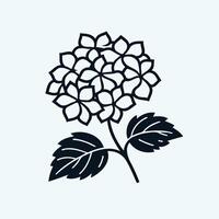 A flower with leaves and flowers on a white background, Geranium line art vector