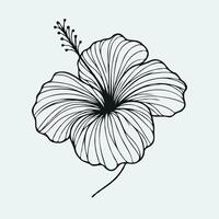 A black and white drawing of a hibiscus flower vector