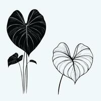 drawing illustration of a leaf and a heart shape vector