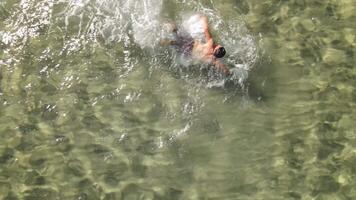 Swimming Sea Overhead View video