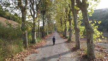 Walking Autumn Road Drone video