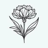 A flower is drawn in a line style vector