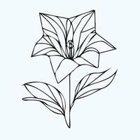 A flower drawing with leaves and leaves vector