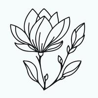 A drawing of a flower with leaves. Magnolia branch with leaves and buds. vector